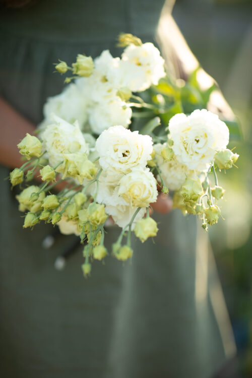 Lisianthus CSA Subscription