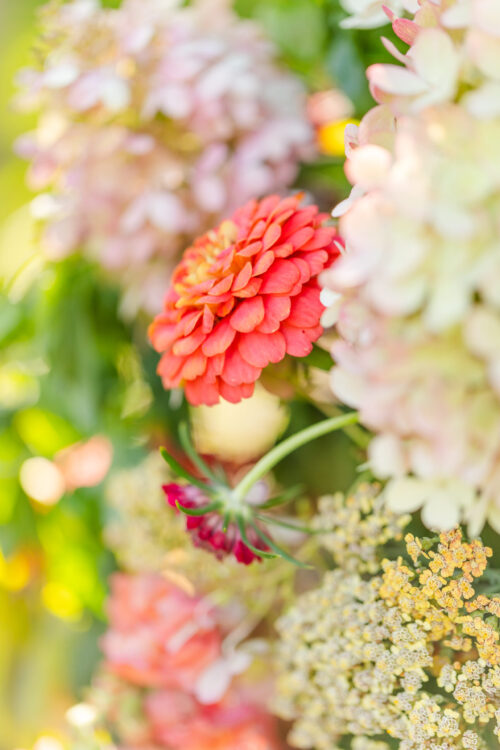 A Bucket of Flowers - Image 2