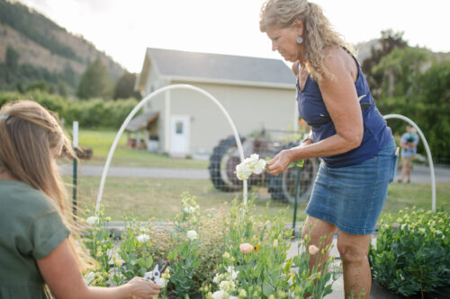 Sunset U Pick and Market Bouquet Design Class - Image 3
